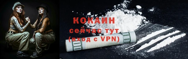 apvp Вяземский