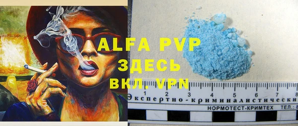 apvp Вяземский