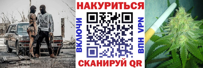 Купить где  Славгород  МАРИХУАНА сатива 